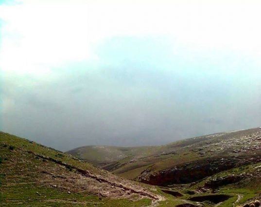 الطقس:تحذيرات من تشكل صقيع 