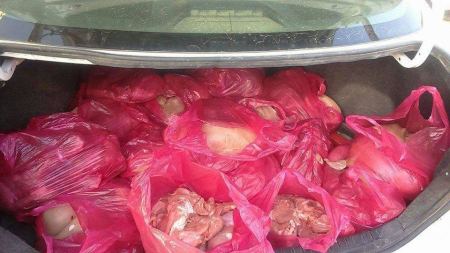الضابطة الجمركية تتلف لحوما فاسدة وتضبط سولارا مجهول المصدر في جنين
