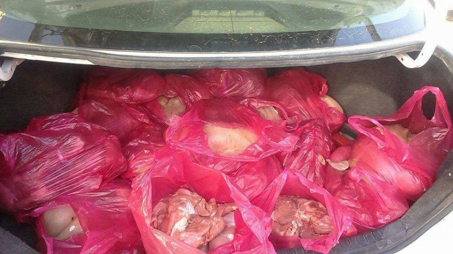 الضابطة الجمركية تتلف لحوما فاسدة وتضبط سولارا مجهول المصدر في جنين