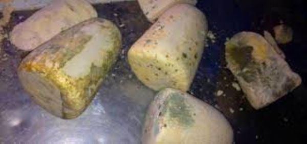 ضبط نصف طن جميد فاسد في الخليل
