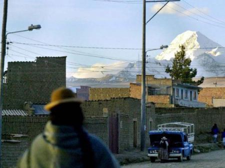 صورة-ربط امرأة بشجرة حتى أكلها النمل عقابا لها على جرم لم تقترفه