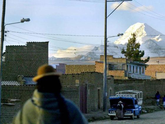 صورة-ربط امرأة بشجرة حتى أكلها النمل عقابا لها على جرم لم تقترفه