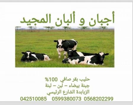 البان المجيد