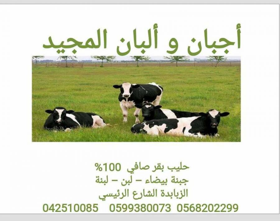 البان المجيد