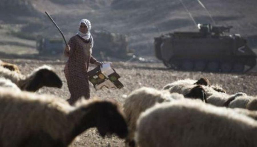مستوطنون يعتدون على الرعاة في الأغوار