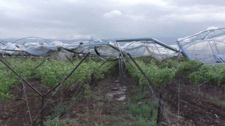 الرياح العاتية تلحق أضرارا بالبيوت البلاستيكية في محافظة جنين