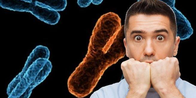الرجال قد ينقرضون… هذا ما يقوله علماء