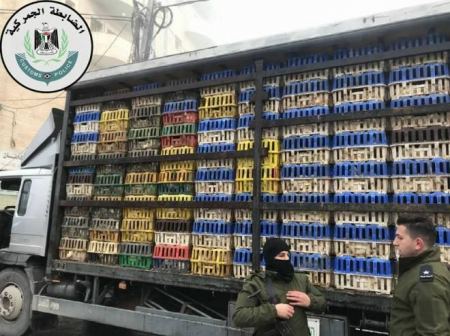ضبط 7000 طير دجاج في الخليل لا تحمل شهادات صحية