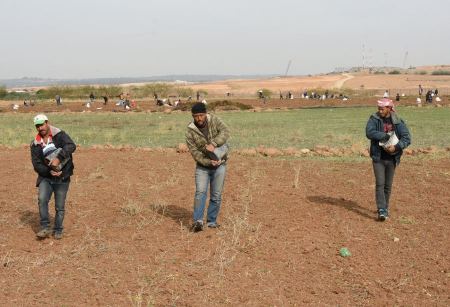 العمل الزراعي يزرع 2000 دونم ببذور القمح في المناطق الحدودية