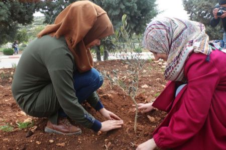 "التعليم البيئي" يدعو لمُضاعفة غرس الأشجار الأصيلة