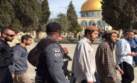 مستوطنون وعنصران من سلطة آثار الاحتلال يقتحمون الأقصى