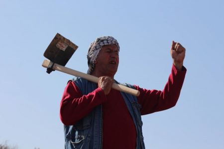 أشجار السماء تهزم الاحتلال.