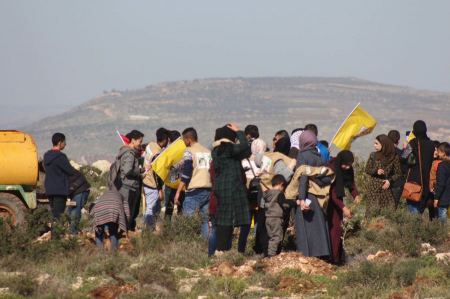 حِصن و"عطر" وزيتون