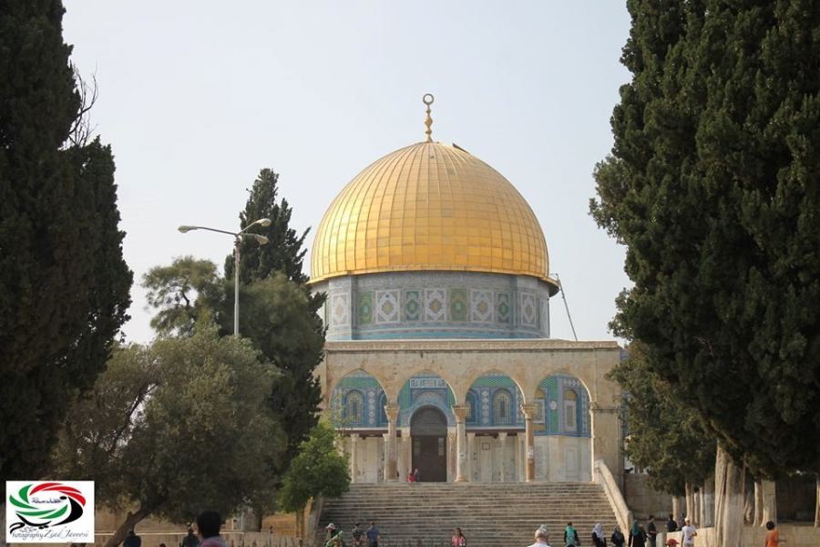 صباحكم أجمل/ قدس.. يا حبيبتي