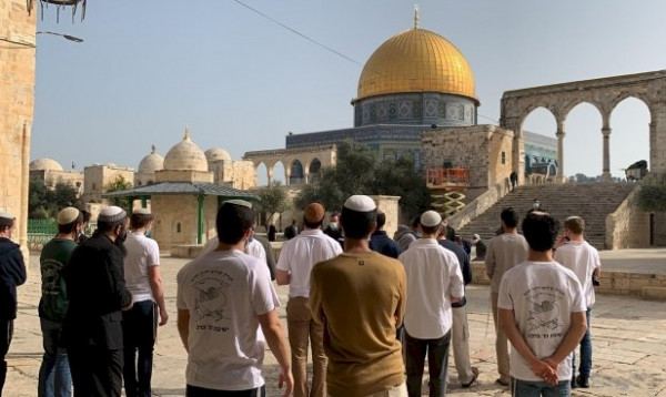 المفتي يدين اعتداء الاحتلال والمستوطنين على المساجد