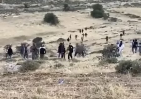 مستعمرون يقتحمون تجمعا شمال غرب أريحا
