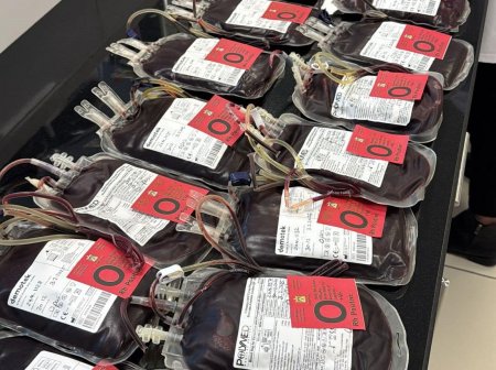 الصحة: جمع أكثر من 3 آلاف وحدة دم لصالح أهلنا في غزة