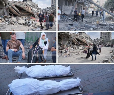 شهيدان برصاص قناصة الاحتلال في رفح جنوب قطاع غزة