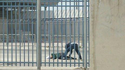 الاحتلال يصيب فتاة بالرصاص على حاجز قلنديا