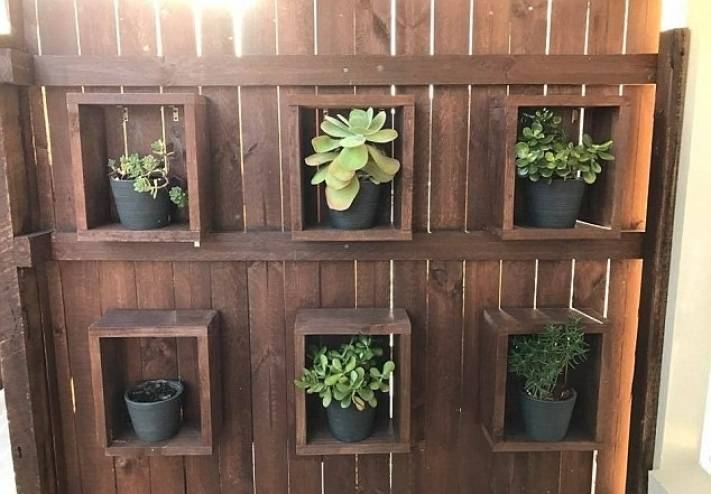 اختبار نظر: ،هل تستطيع رؤية الثعبان في الصورة !