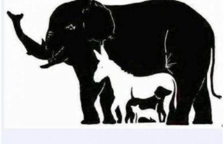 هناك 16 حيوان في الصورة .. اختير نفسك كم سترى منهم قبل رؤية النتيجة !