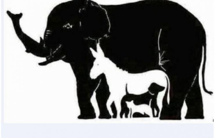 هناك 16 حيوان في الصورة .. اختير نفسك كم سترى منهم قبل رؤية النتيجة !