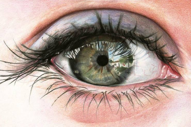 هل تعلم بأنك تصاب بـ 'العمى' لمدة 40 دقيقة يوميًا؟