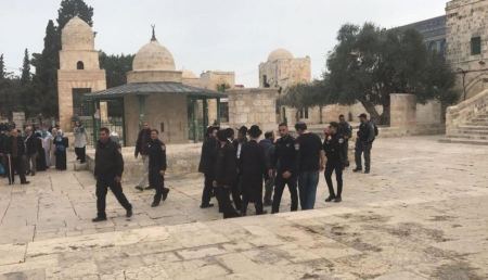 مستوطنون يقتحمون المسجد الأقصى وسط حراسة مشددة