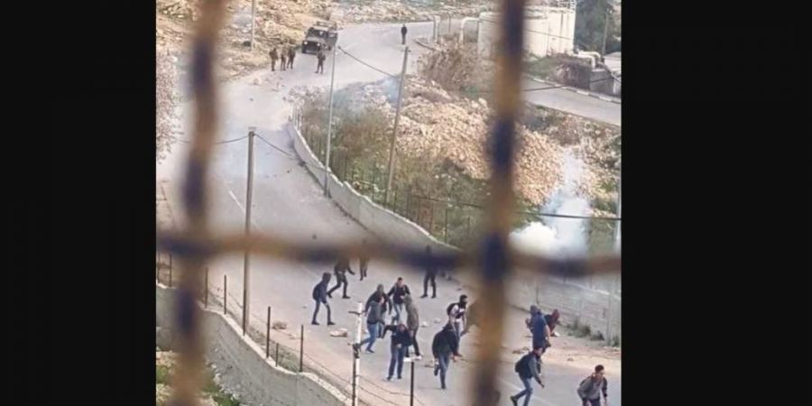 جنود الاحتلال ومستوطنون يقتحون مدرسة تقوع