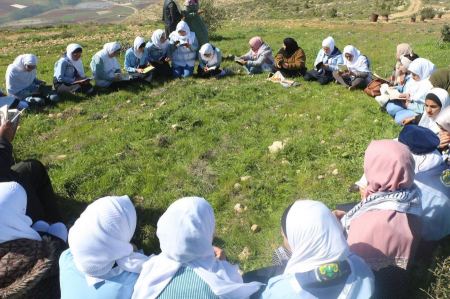 "قمة" قراءة في طمون