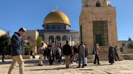 تواصل انتهاكات الاحتلال: بناء استيطاني وهدم واعتقالات واقتحام للأقصى واقتلاع أشتال زيتون