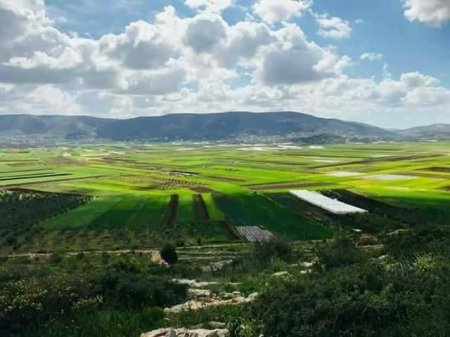 "التعليم البيئي" يُصدر نشرةً لليوم العالمي للأراضي الرطبة