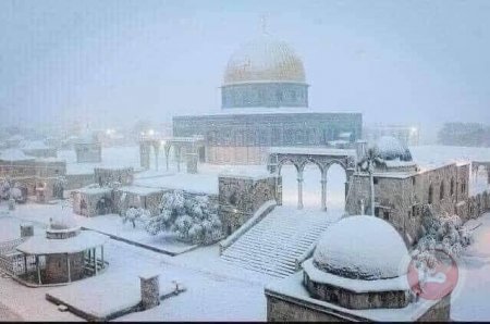 موجة باردة جدا قادمة - منخفضات جوية وأمطار غزيرة وثلوج