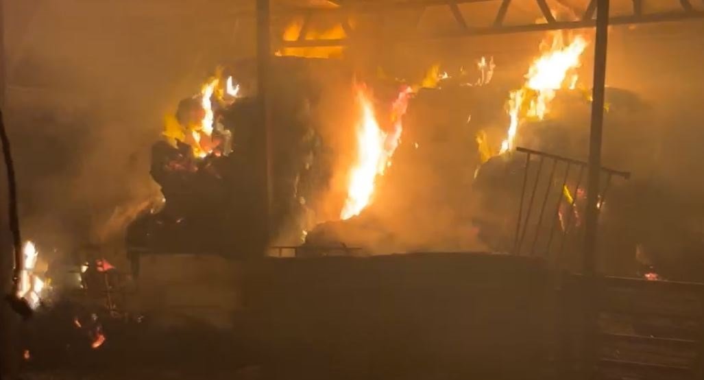 مستعمرون يحرقون مساحات واسعة من الأراضي في دوما جنوب نابلس