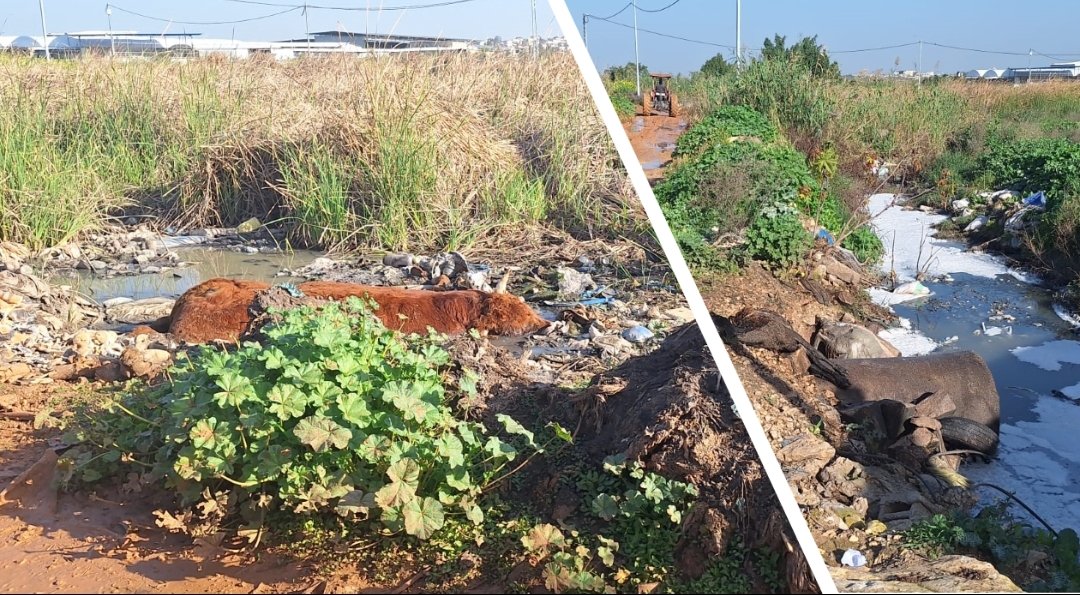 تعديات خطيرة على واد المقطع تهدد البيئة والصحة العامة في مرج ابن عامر