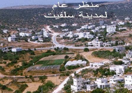 مدينة سلفيت