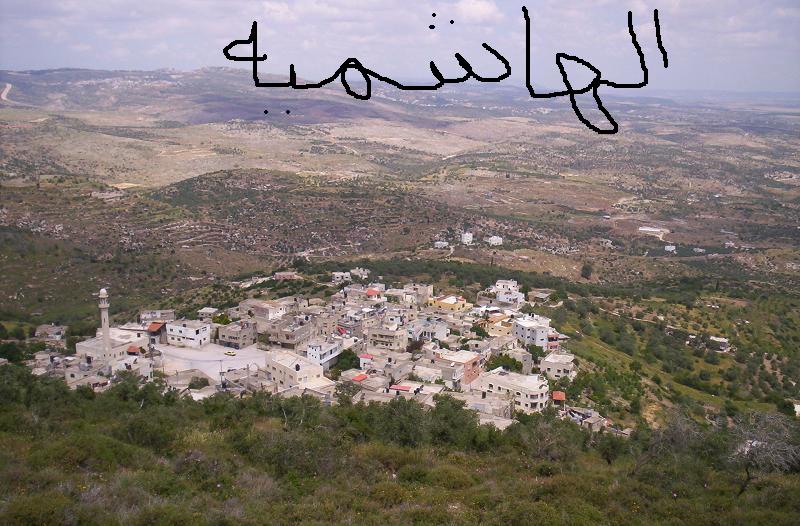 قرية الهاشمية