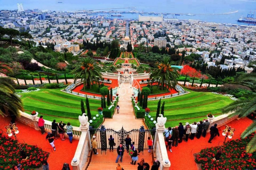 مدينة حيفا