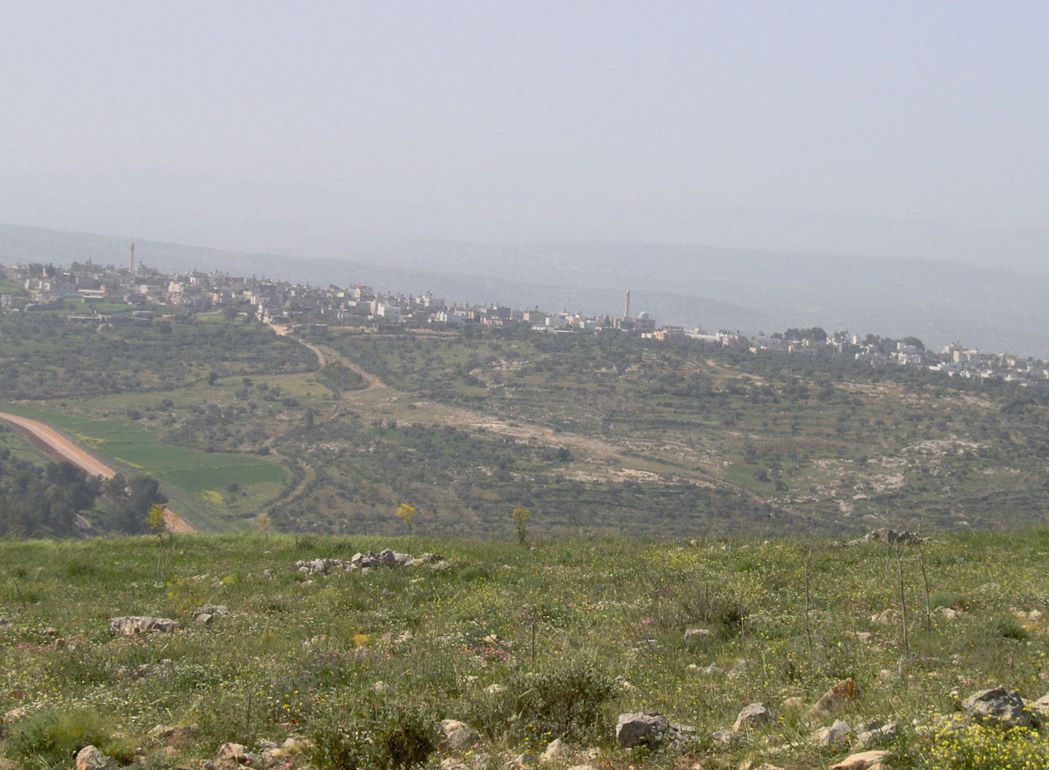 بلدة فقوعة
