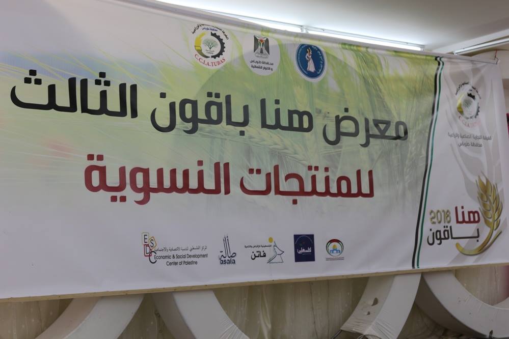 إبداعات ناعمة وإرادة من فولاذ