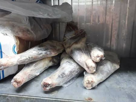 اتلاف لحوم خاروف مجمده منتهية الصلاحية في جنين