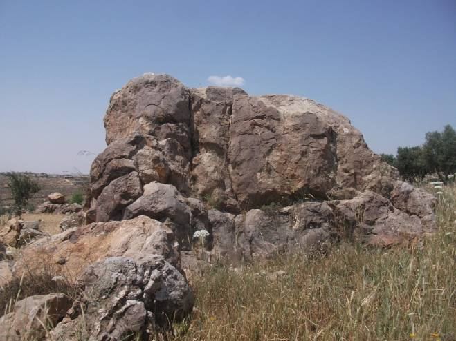 في الخليل.. 'أهانوا الخبز فحولهم الله إلى حجارة