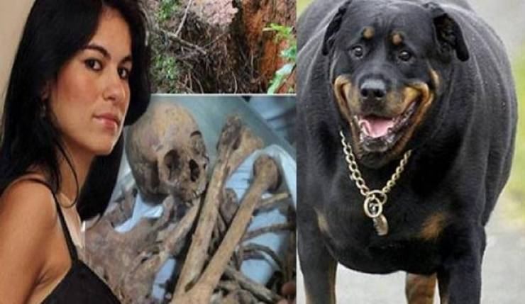 قَتل عشيقته وأطعم أجزاءها للكلاب ثم عاد إلى الملاعب!