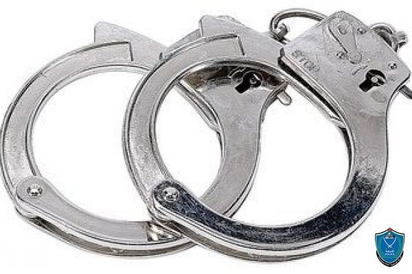 الشرطة تلقي القبض على شخص اعتدى على موقع أثري في جنين