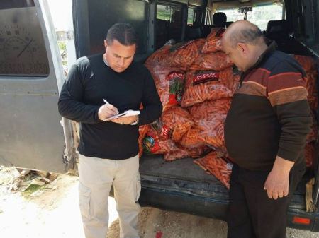 ضبط واتلاف كمية من الجزر الفاسد في جنين