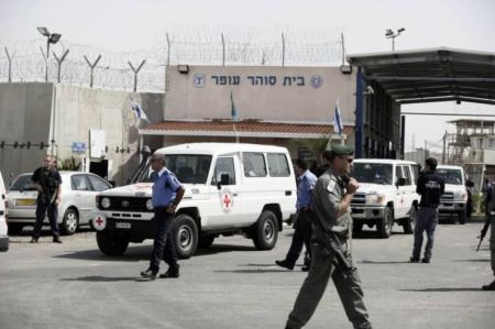  أطعمة منتهية الصلاحية للاسرى