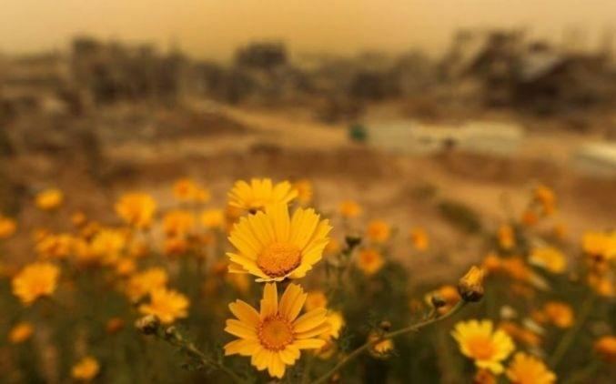 حالة الطقس حتى الجمعة المقبلة