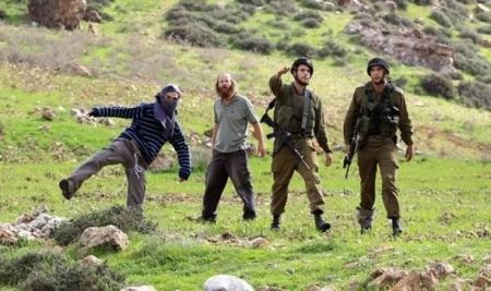 مستوطنون يهاجمون قرية المغير شمال شرق رام الله