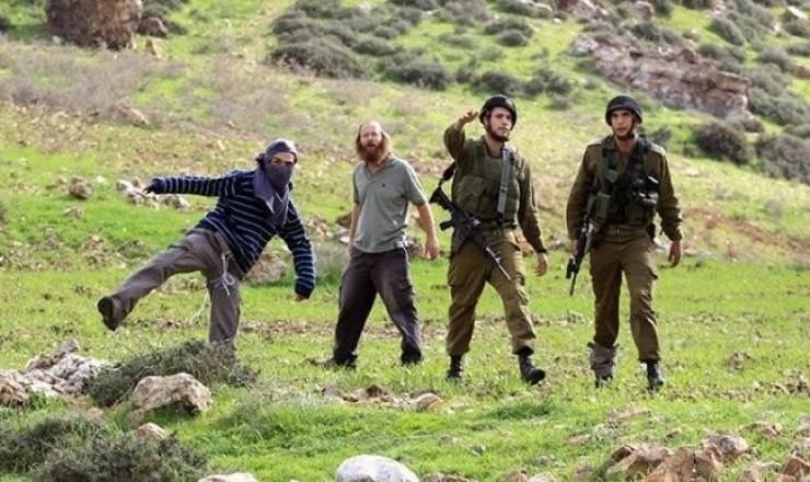 مستوطنون يهاجمون قرية المغير شمال شرق رام الله