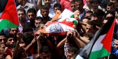  8 شهداء خلال شباط الماضي